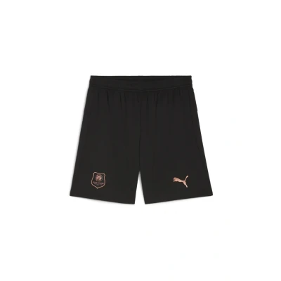 Abbildung von Puma Stade Rennais FC 25/26 Vereinsmannschaften, Herren, Größe: Medium, Black copper