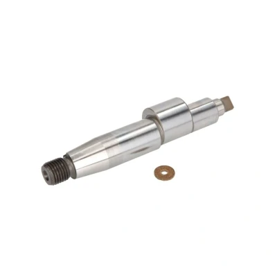 Abbildung von Exzenterwelle, Common Rail Pumpe BOSCH F 00N 200 208