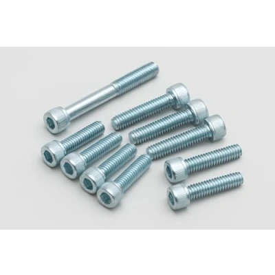 Abbildung von Schrauben Set Silber Variomatik Deckel für Yamaha Aerox Jog R Neos Slider, MBK Booster Nitro Ovetto Stunt, Aprilia SR 50 Rally, Beta Ark Minarelli
