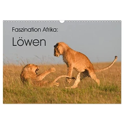 Abbildung von Faszination Afrika: Löwen (Wandkalender 2025 DIN A3 quer), CALVENDO Monatskalender
