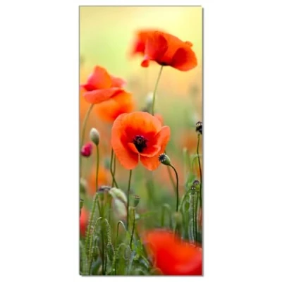 Abbildung von Wallario Selbstklebende Türtapete Mohnblumenblüten Türposter 93 x 205 cm Abwischbar, rückstandsfrei zu entfernen