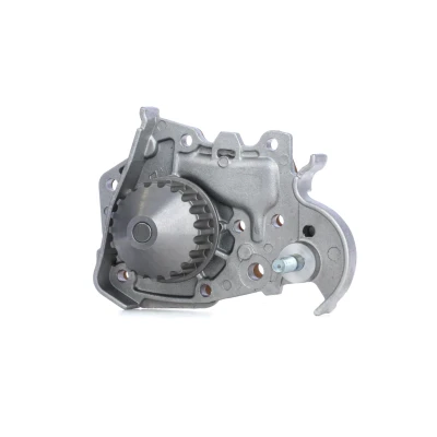 Abbildung von DOLZ R135 Wasserpumpe 20 mit Riemenscheibe RENAULT: CLIO 2, Kangoo II / Grand Kangoo, I, DACIA: Sandero Logan I MCV, Limousine