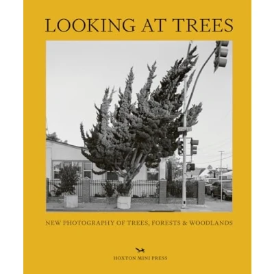 Abbildung von Looking at Trees: New Photography of Trees, Forests and Woodlands