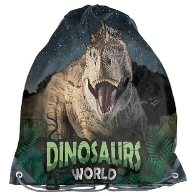 Abbildung von PASO PP23DZ 712, Turnbeutel Dinosaur, Multicolor