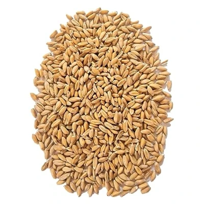 Abbildung von WIDU Bio Dinkel geeignet zum Backen Getreide Ganzes Korn 25 KG Getreidesack