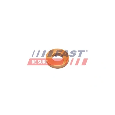 Abbildung von FAST FT47801 Wärmeschutzscheibe, Einspritzanlage RENAULT: SCENIC 3, Kangoo I, MASTER 2 Kasten, OPEL: Movano B Bus, Vivaro A Combi