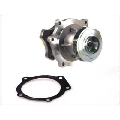 Abbildung von THERMOTEC D1Y033TT Wasserpumpe mit Dichtung