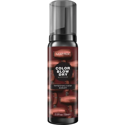 Abbildung von Color Blow Dry