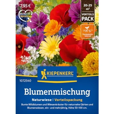 Abbildung von Kiepenkerl Blumensamen Mischung Naturwiese 1072540 Bunte Wildblumen und Kräuter für naturnahe Gärten circa 50 100cm hoch Wildblumensamen, Blumenwiese