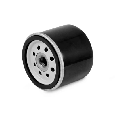 Abbildung von FAST FT38079 Ölfilter M20x1 Anschraubfilter RENAULT: MEGANE 2 Coupe Cabriolet, 3 Grandtour, SCENIC 3, DACIA: Duster SUV, Lodgy, Dokker Kombi