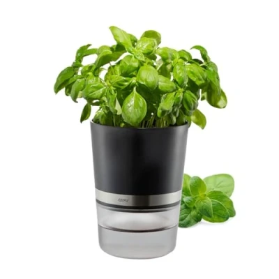 Abbildung von GEFU Kräutertopf &quot;Botanico&quot;, mit Bewässerungssystem