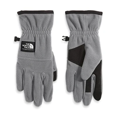Abbildung von THE NORTH FACE Etip Fleece Handschuh, Meld Grey, Small