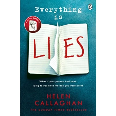 Abbildung von Everything Is Lies: From the Sunday Times bestselling author of Dear Amy