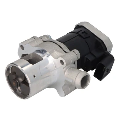Abbildung von DELPHI EG10430 12B1 AGR Ventil ohne Dichtungen MERCEDES BENZ: Sprinter 3 T Kastenwagen, 3.5 Bus kfzteile,