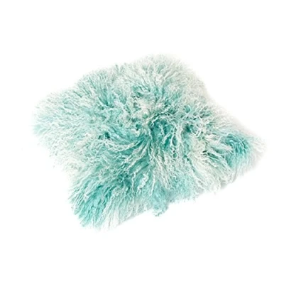 Abbildung von Reissner Lammfelle Tibet Lammfell Kissenbezug langflorig 40x40cm JYB05 Farbe Mint/Weiss (Tops)