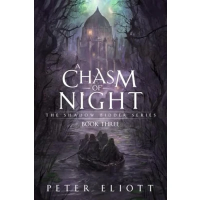 Abbildung von A Chasm of Night (The Shadow Bidder, Band 3)