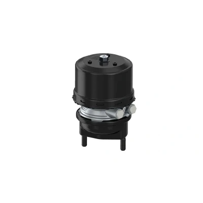 Abbildung von Kombibremszylinder WABCO 9254840200