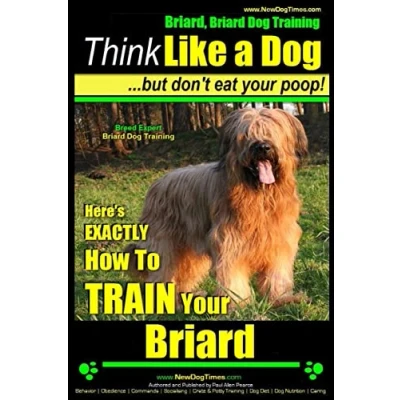 Abbildung von Briard, Briard Dog Training Think Like a But Don&#039;t Eat Your Poop! Breed Expert : Here&#039;s EXACTLY How To TRAIN