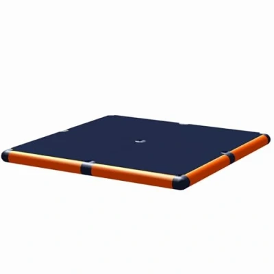 Abbildung von move and stic Agility Wippe MAS 6345 Welpen Wackelplatte, Set