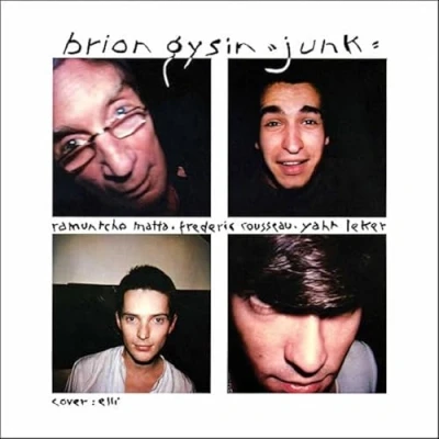 Abbildung von Junk [Vinyl LP]