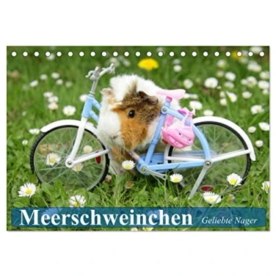 Abbildung von Meerschweinchen. Geliebte Nager (Tischkalender 2025 DIN A5 quer), CALVENDO Monatskalender