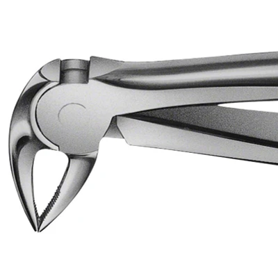 Abbildung von ANATOMICA Zahnzange BÜCHS Haftprofil Figur 33 A UK Wurzeln