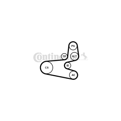 Abbildung von CONTITECH 6PK1560K1 Keilrippenriemensatz PEUGEOT: 206 SW, Schrägheck, Partner I Combispace, CITROËN: Xsara Picasso, Berlingo / First