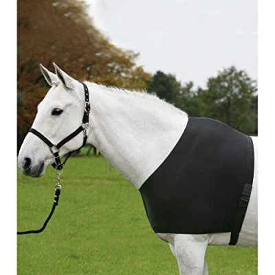 Abbildung von Waldhausen Brustschutz Comfort Vest Schwarz M