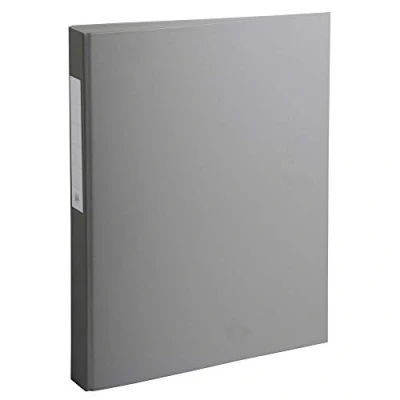 Abbildung von Exacompta 54384E 10er Pack Ringbücher 2 Ringe Füllhöhe 25mm, Rücken 40mm, aufgeklebtes Rückenschild, für DIN A4 Kunststoffbezug aussen und innen, grau
