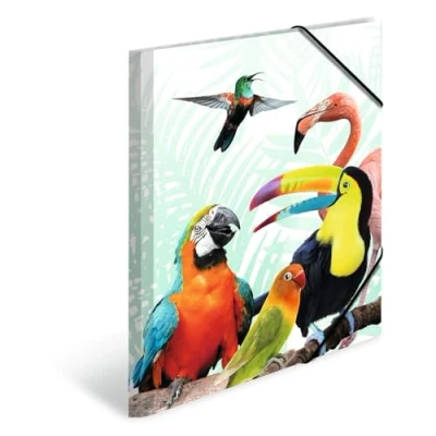 Abbildung von HERMA 19968 Sammelmappe A3 Exotische Tiere Tropenclique, Kinder Eckspanner Mappe aus Kunststoff mit Innendruck &amp; Gummizug, stabile Einschlagmappe Plastik für Jungen Mädchen