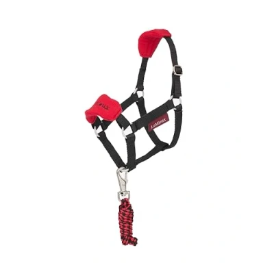 Abbildung von LeMieux Halfterset Hobby Horse Vogue ChilliVerkauft von Agradi