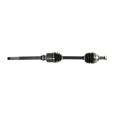 Abbildung von Antriebswelle PASCAL G2P026PC
