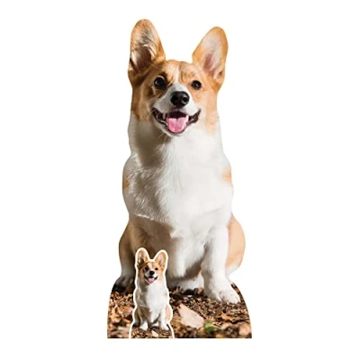 Abbildung von STAR CUTOUTS SC4064 Corgi Karton Ausschnitt in Lebensgröße mit Mini