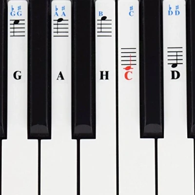 Abbildung von Klavier Aufkleber für 49/61 / 76/88 Key Keyboards Transparent und abnehmbar