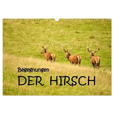 Abbildung von Begegnungen. DER HIRSCH (Wandkalender 2025 DIN A3 quer), CALVENDO Monatskalender