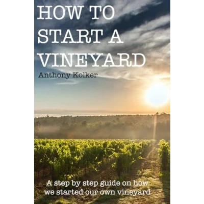 Abbildung von How to start A Vineyard: guide from planting harvest