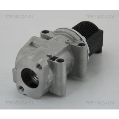 Abbildung von TRISCAN 8813 15032 AGR Ventil elektrisch ohne Dichtungen FIAT: Doblo I Kombi, Cargo, Strada Pickup