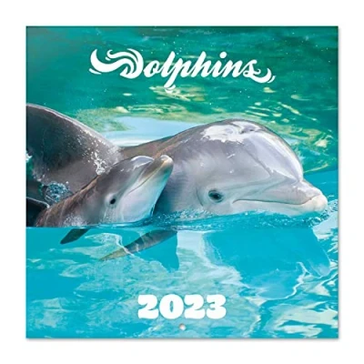 Abbildung von Grupo Erik Wandkalender 2023, Delfine, Kalender zum Aufhängen, Familienkalender, offizielle Lizenz, FSC zertifiziert, CP23004
