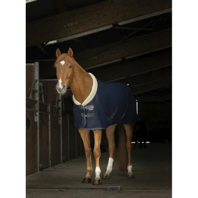 Abbildung von EQUITHÈME Decke Teddy Mesh Navy 150/198