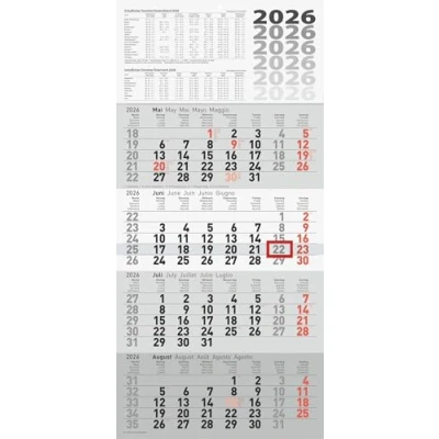 Abbildung von rido/idé 4 Monatskalender 2026 grau, 300x630 mm