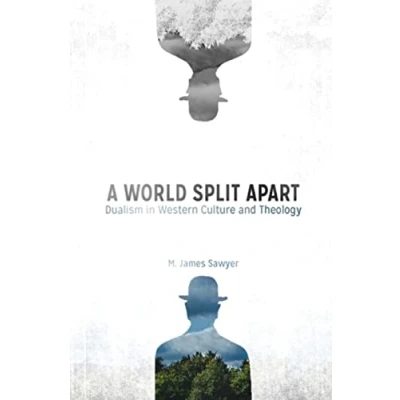 Abbildung von A World Split Apart: Dualism in Western Culture and Theology