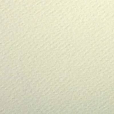 Abbildung von Clairefontaine 93792C Packung (mit 24 Bögen Zeichenpapier Etival Color, 50 x 65cm, 160g, gekörnt, ideal für Trockentechnik und Einrahmen) hellgrün