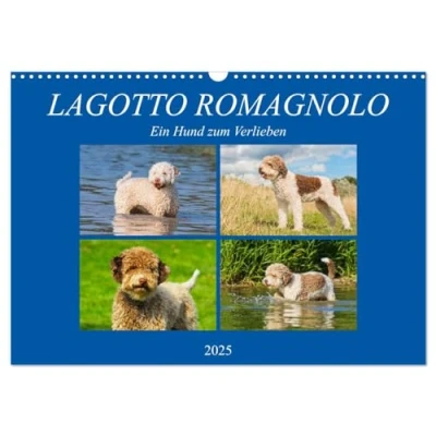 Abbildung von Lagotto Romagnolo Ein Hund zum Verlieben (Wandkalender 2025 DIN A3 quer), CALVENDO Monatskalender