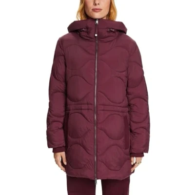 Abbildung von Esprit Collection Wintermantel, Damen, Größe: Large, Aubergine