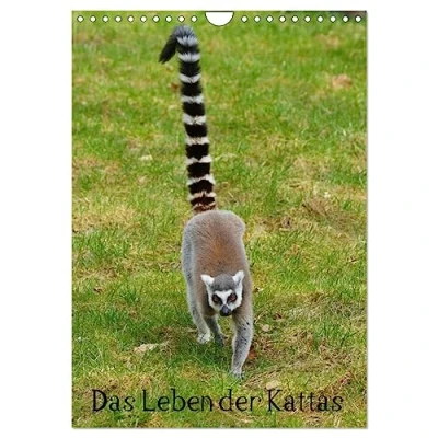 Abbildung von Das Leben der Kattas (Wandkalender 2025 DIN A4 hoch), CALVENDO Monatskalender