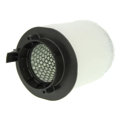 Abbildung von CORTECO 80004668 Luftfilter 150 250 Filtereinsatz AUDI: R8 Coupe, Spyder