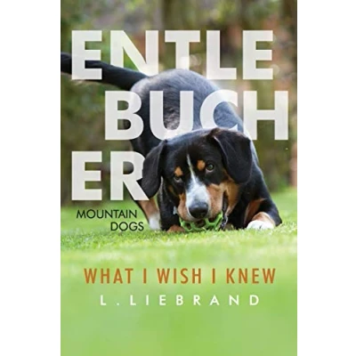 Abbildung von Entlebucher Mountain Dogs What I Wish Knew