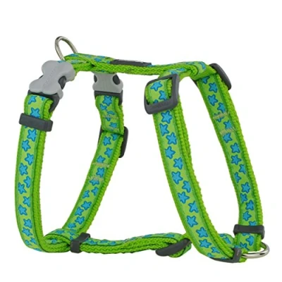 Abbildung von Red Dingo Nylon Hundegeschirr, Sterne, Lime grün, XS (DH ST LG 12)