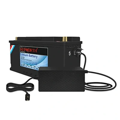 Abbildung von KEPWORTH 12V 100Ah LiFePO4 Battery Deep Cycle Lithium Iron Phosphate Built in BMS Lightweight Maintenance Free Perfect for RV/Camping, Solar/Backup Power,Trolling,Motor/5 Years Warranty