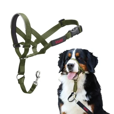 Abbildung von HALTI Kopfgeschirr Verhindert, dass Ihr Hund an der Leine zieht, Einfache Anpassung, Leicht, mit gepolstertem Nasenriemen, Anti Zug Halsband für große Hunde (Größe 4, Waldgrün)